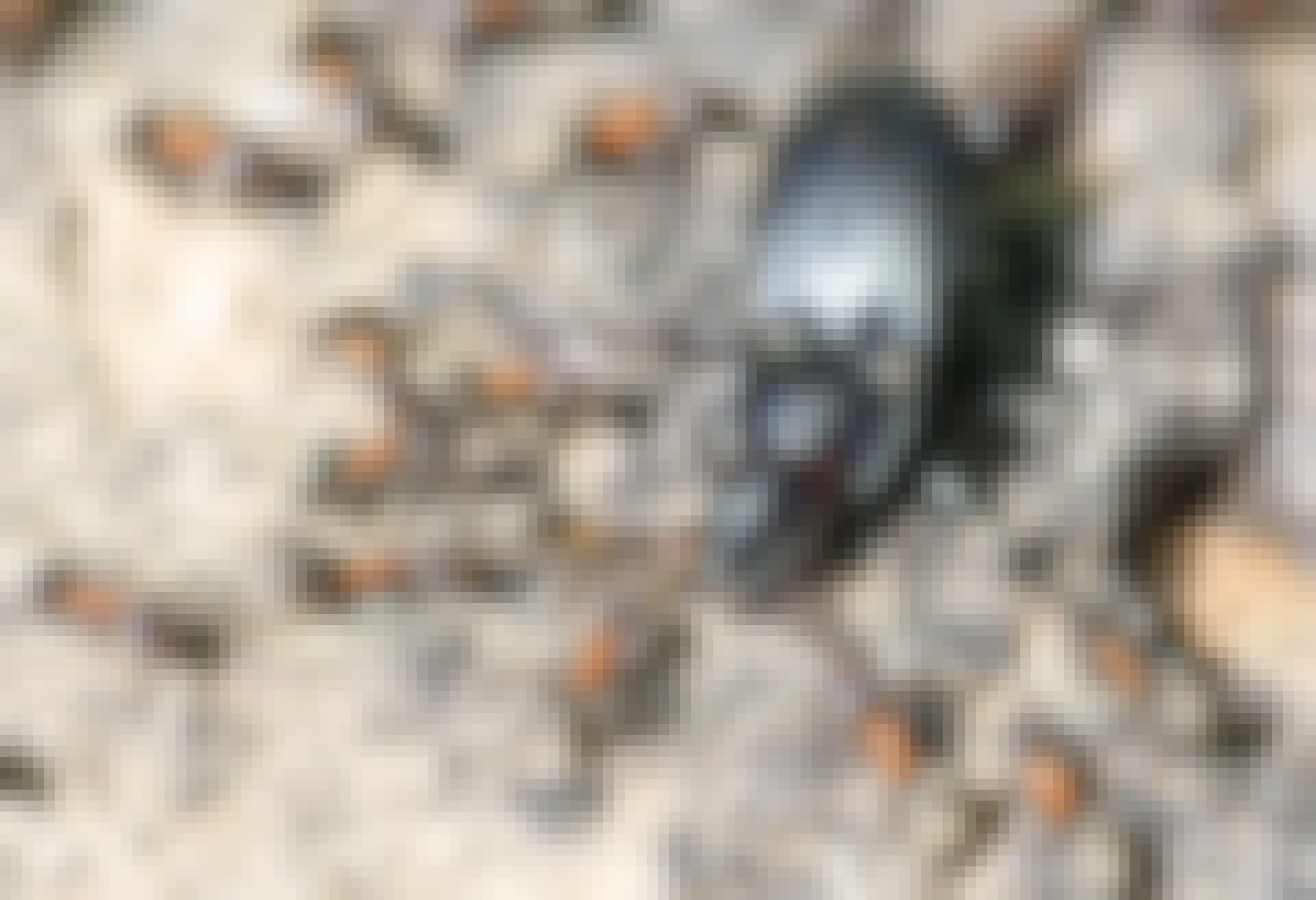 Insecten