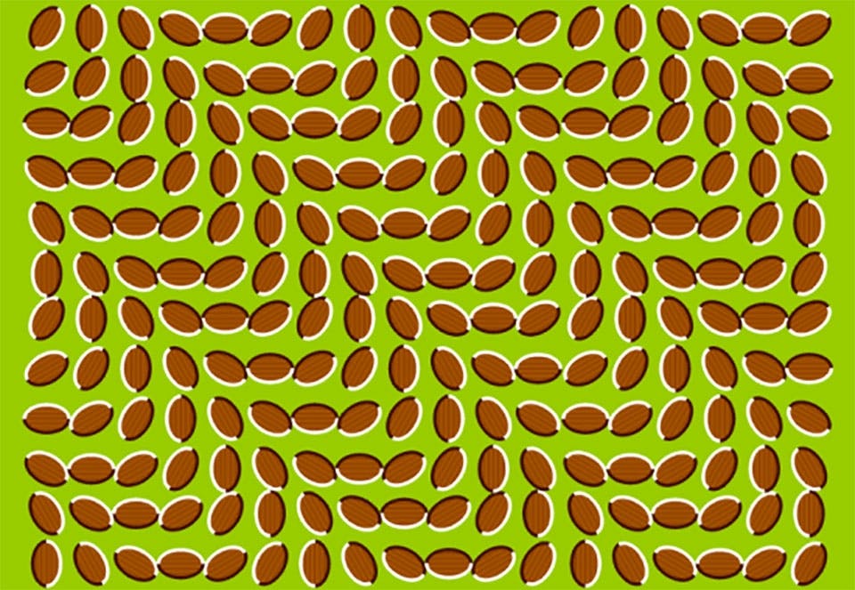 Optinen harha Optinen harha