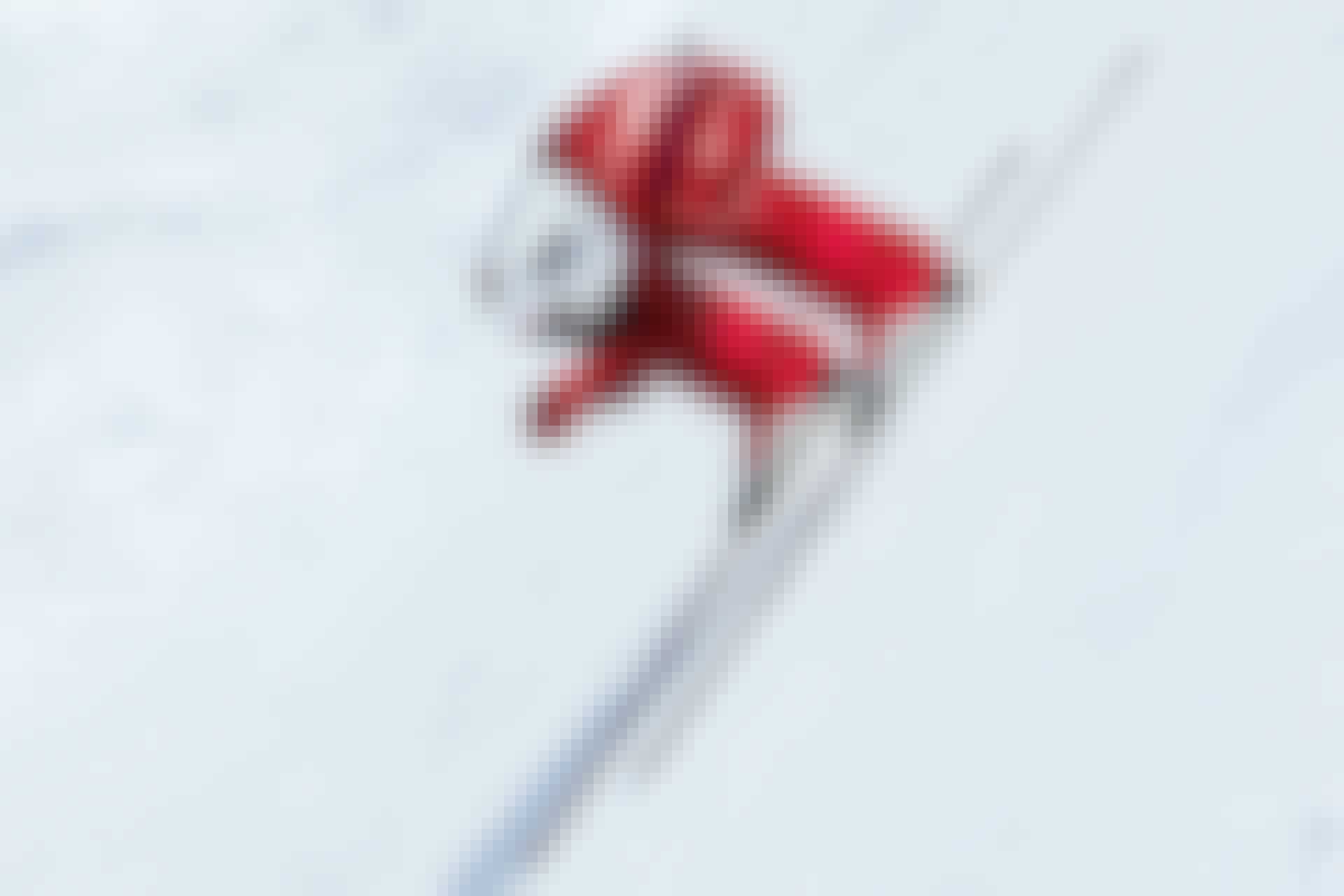 Skiing
