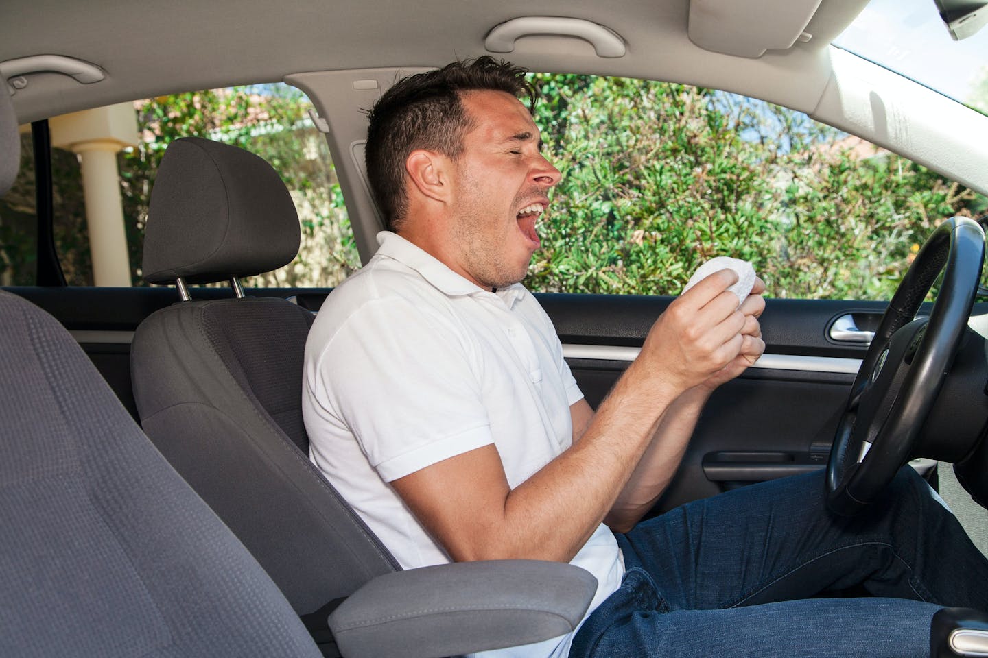 car sneeze car sneeze