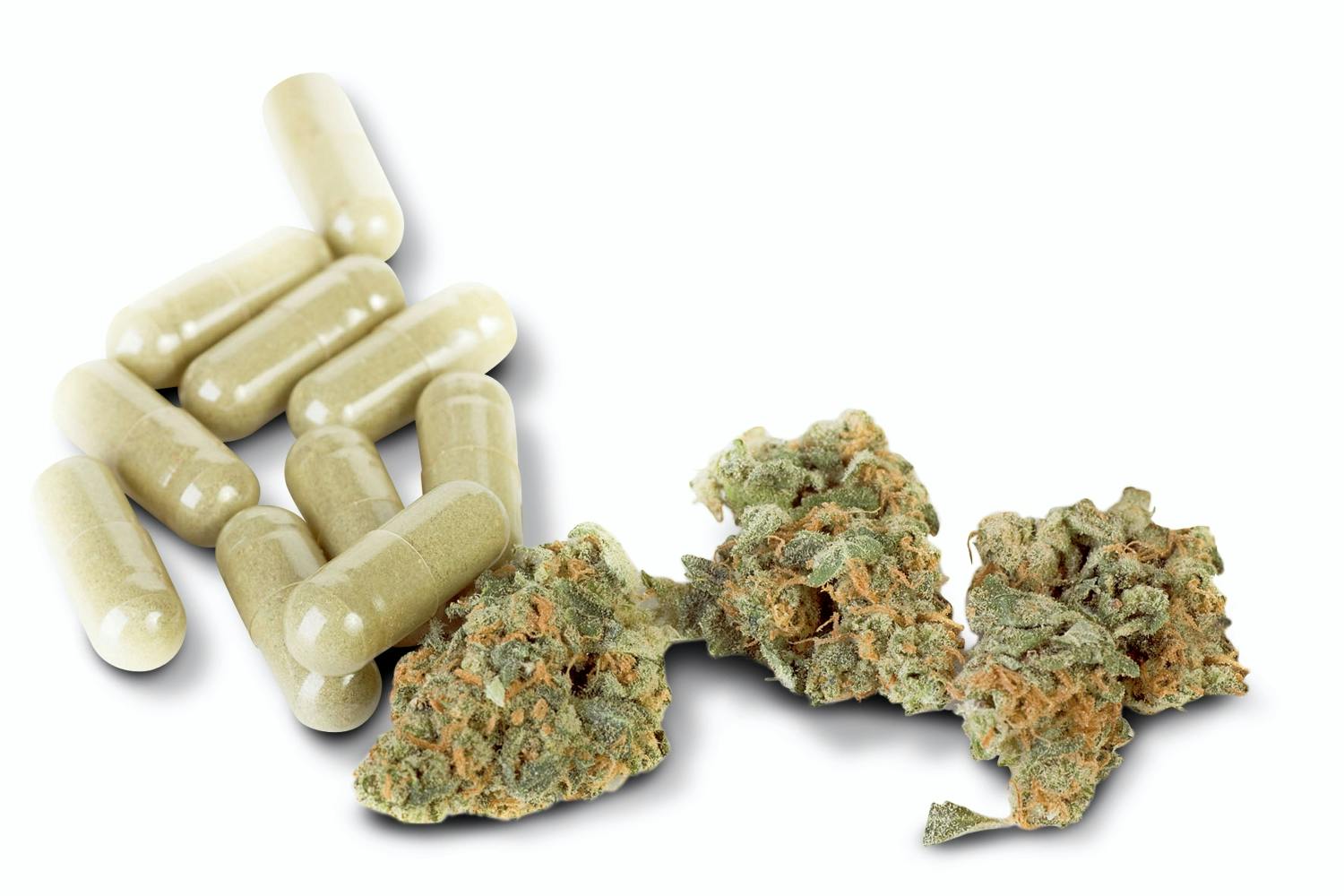 cannabis cannabis