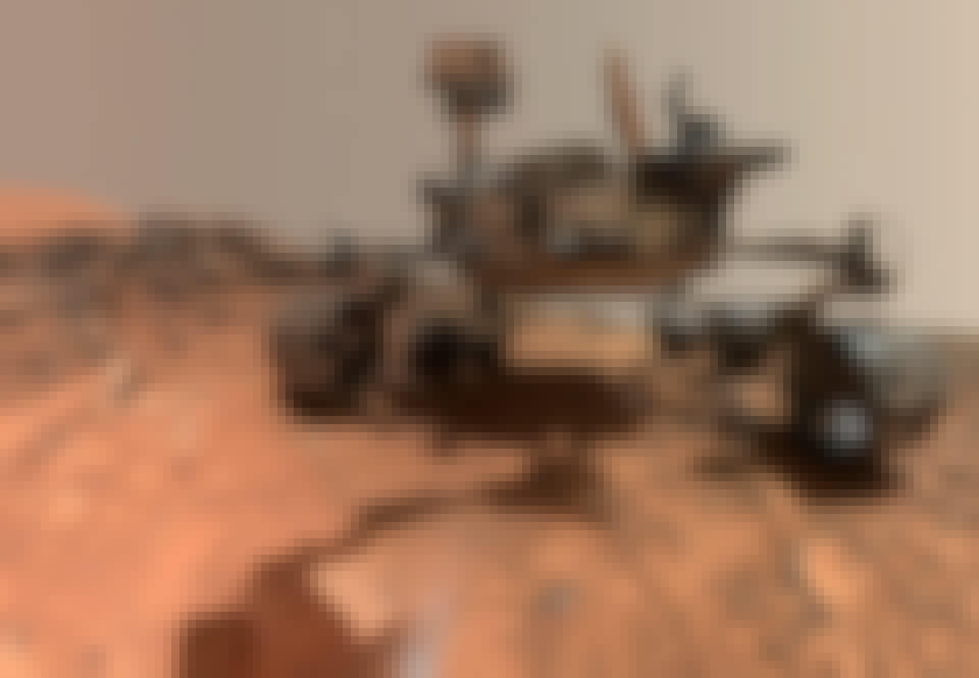 Curiosity