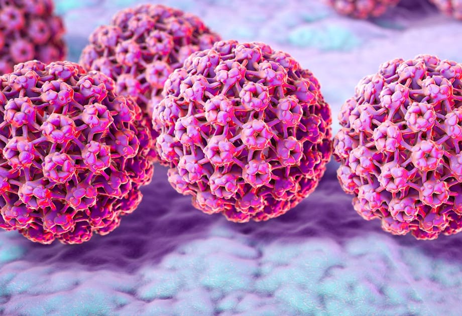 HPV-virus HPV-virus