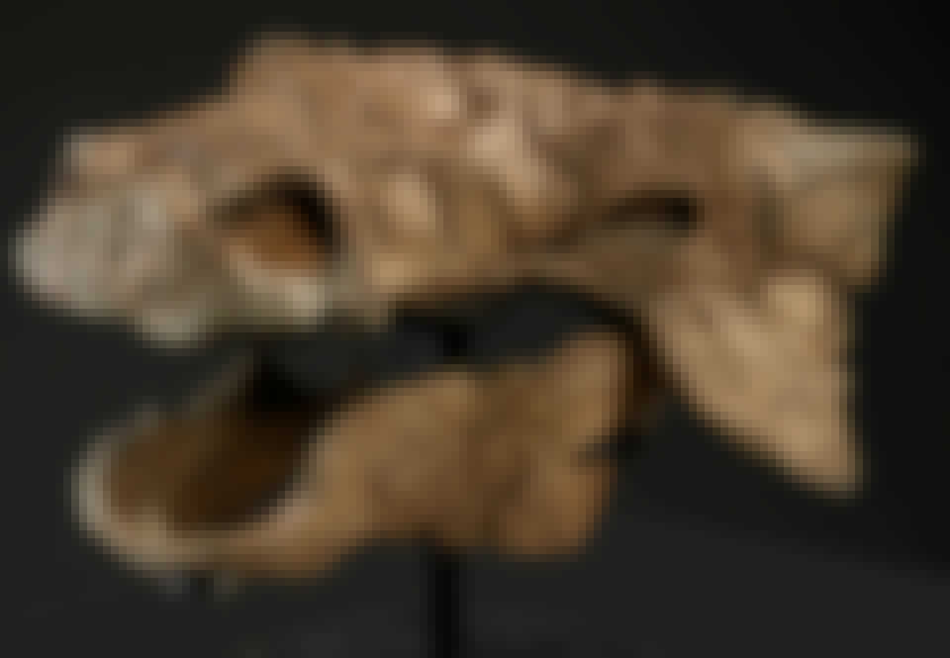 Zuul crurivastator