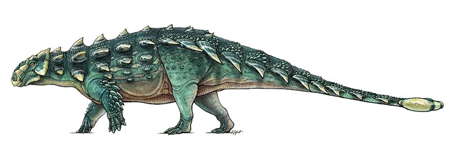 Zuul crurivastator Zuul crurivastator
