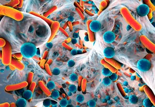 Illustrert vitenskap abonnement Illustrert vitenskap abonnement