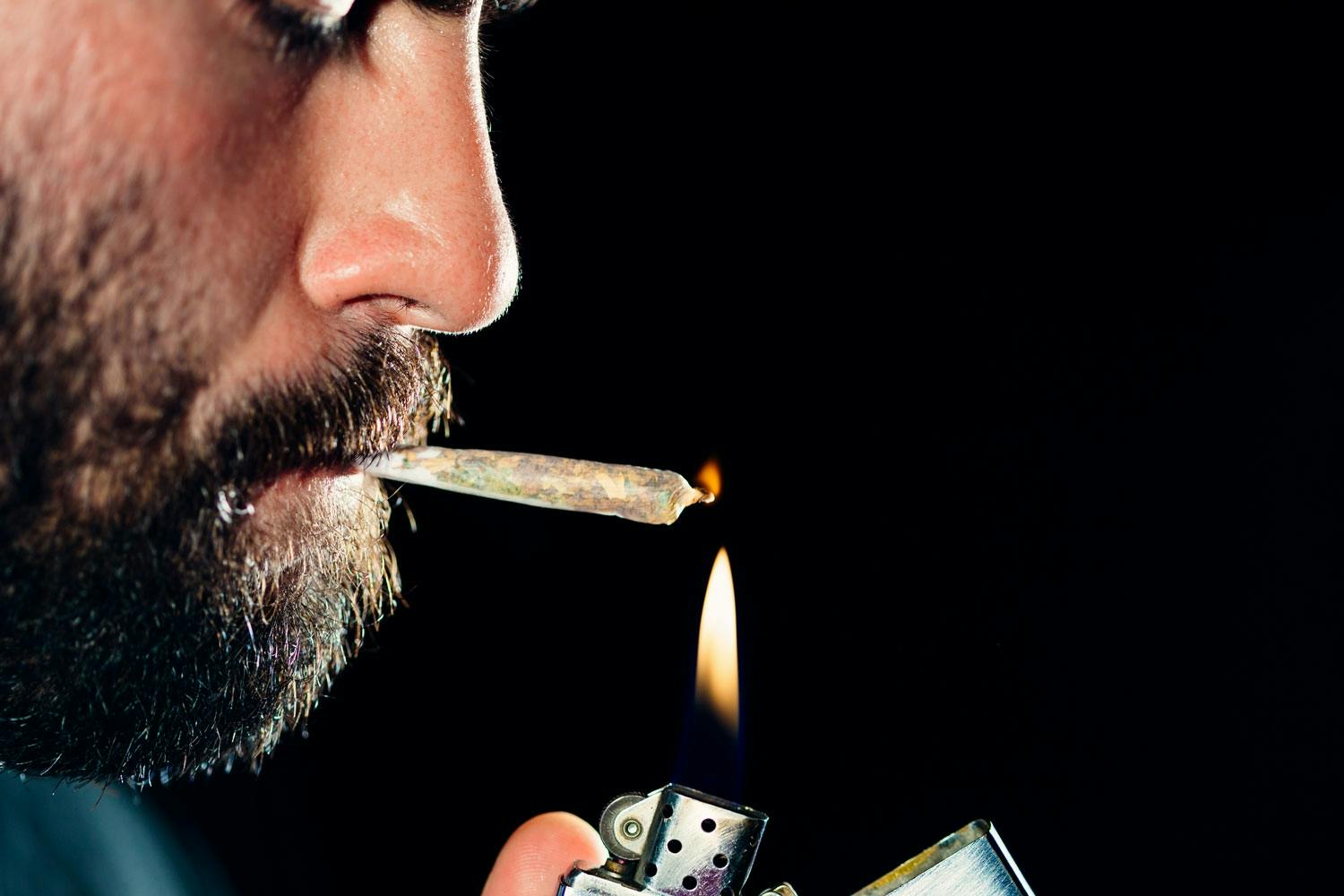 Cannabis top Cannabis top