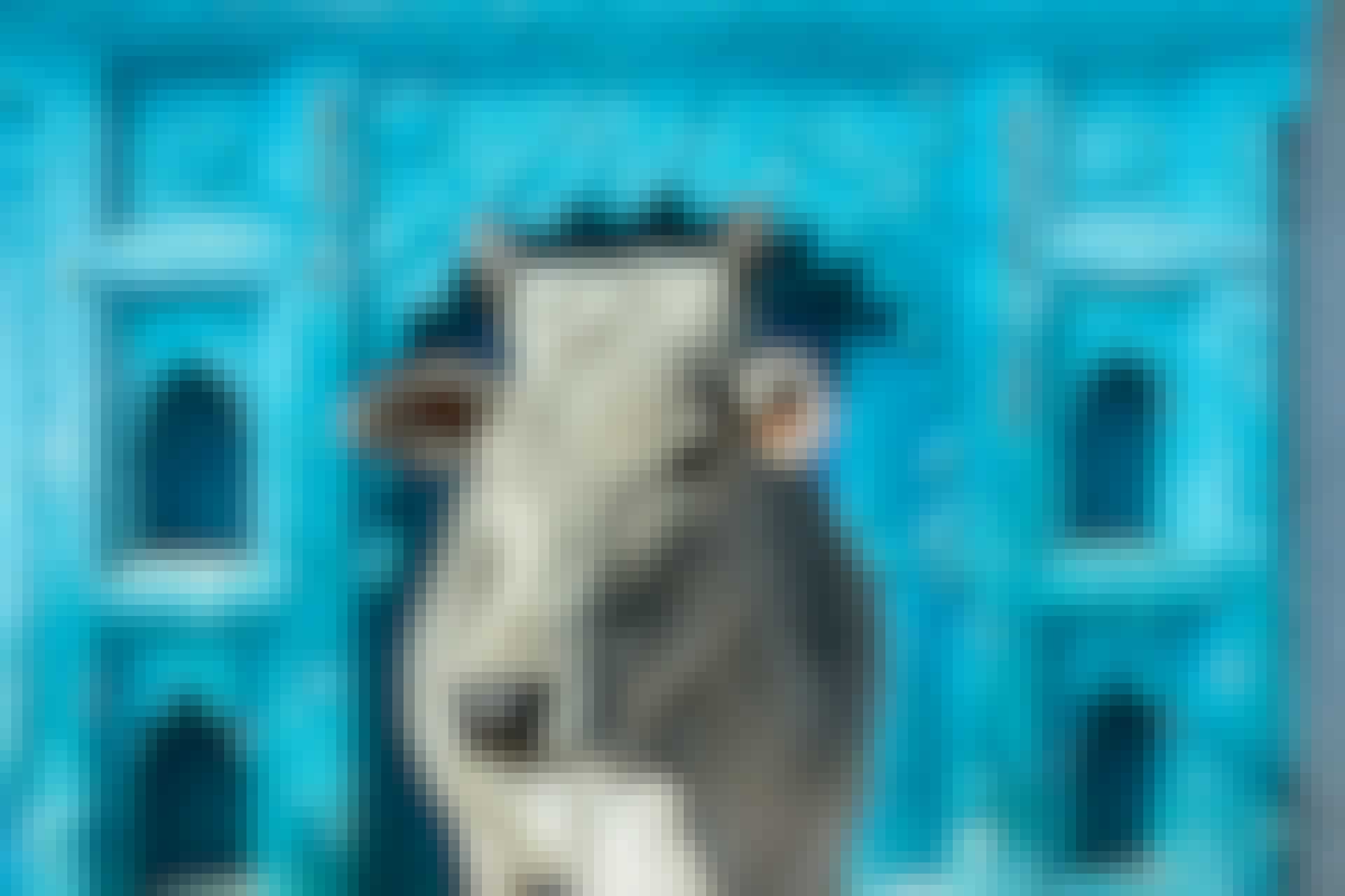 kuer hellige India