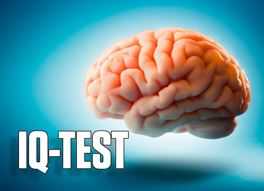 Iq test ny splash 2 Iq test ny splash 2