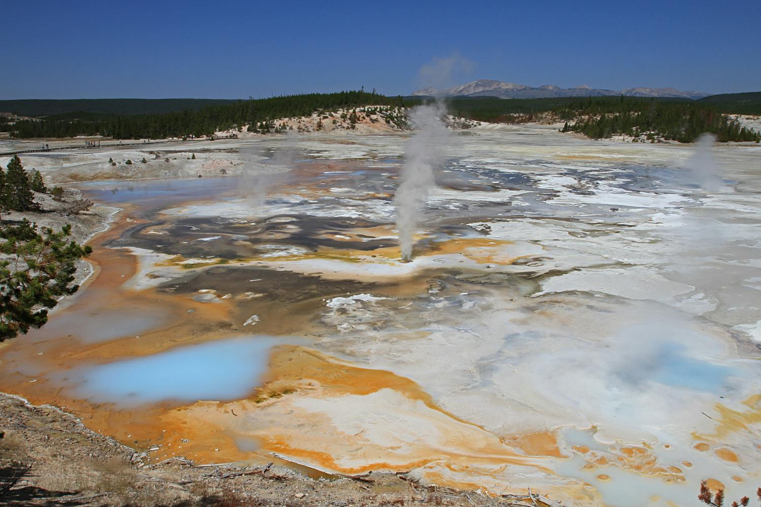 Norris Geyser Basin Yellowstone Norris Geyser Basin Yellowstone