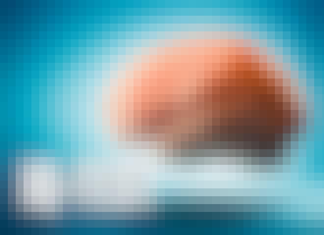 Iq test ny splash 2 Iq test ny splash 2