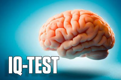 IQ-TEST EMBED IQ-TEST EMBED