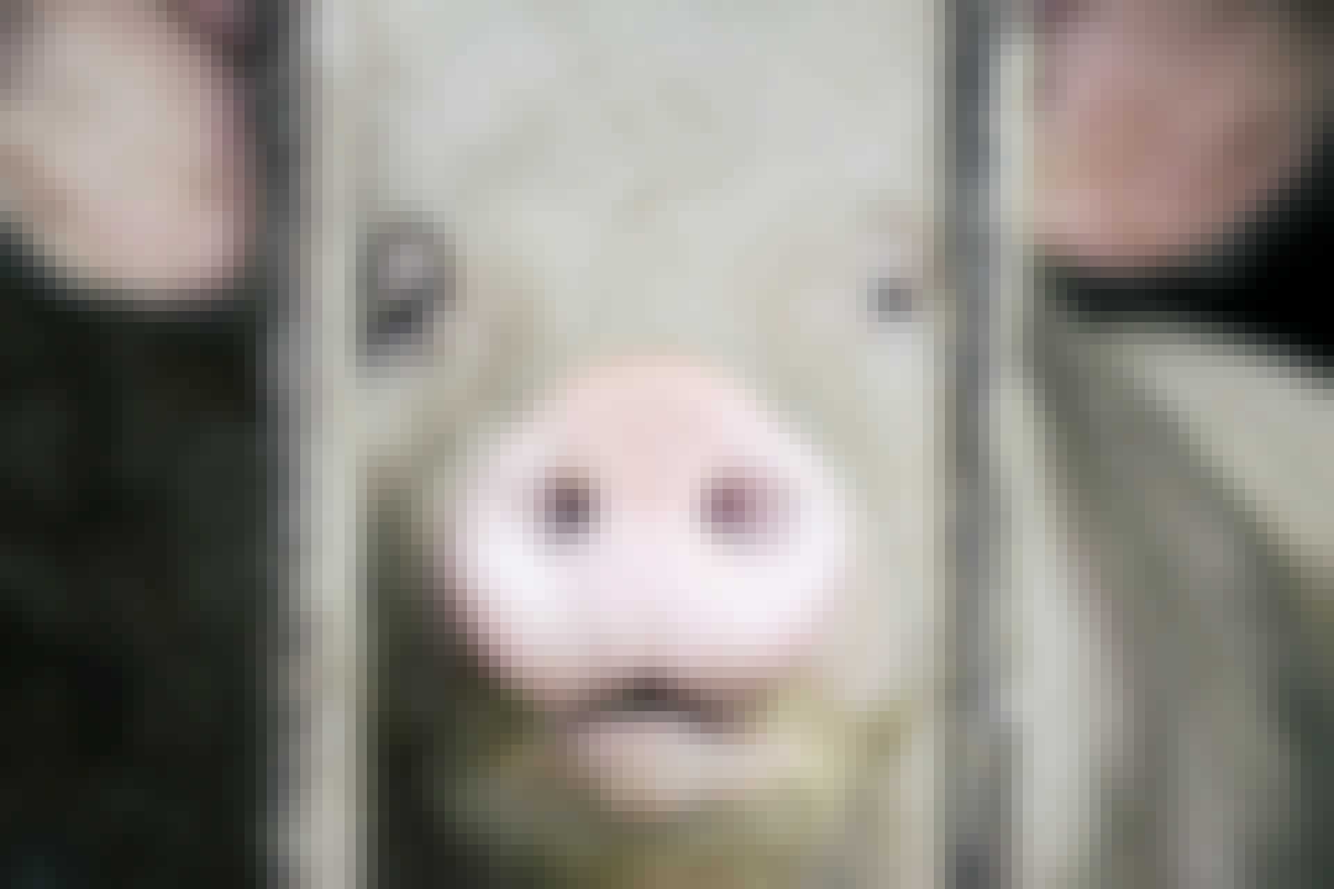 Grisen kan ge oss sitt hjärta