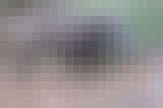 vildsvin fukushima TOP