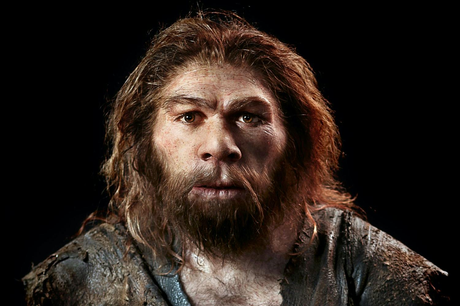 Hvorfor forsvandt neandertalerne? Hvorfor forsvandt neandertalerne?