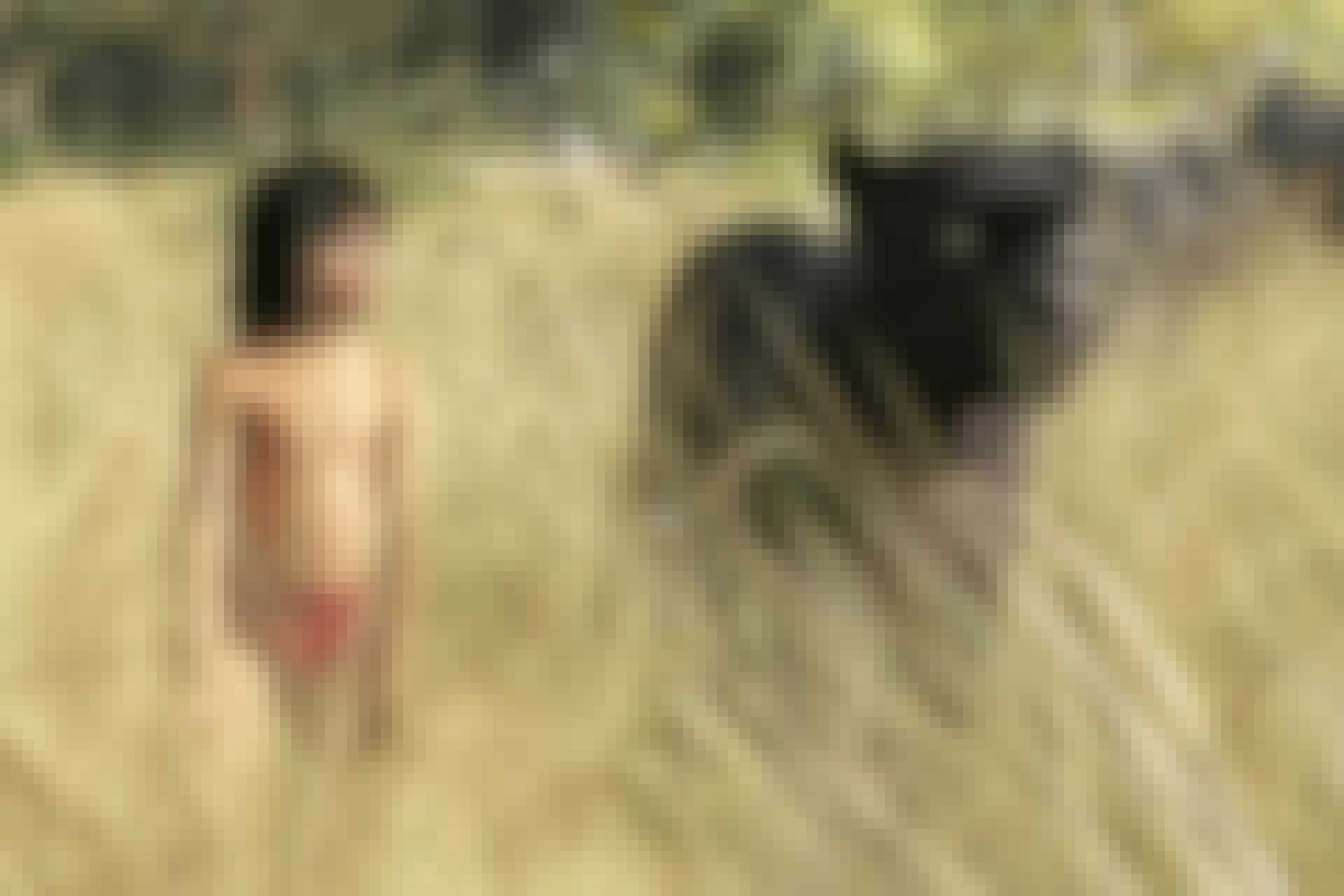Mowgli