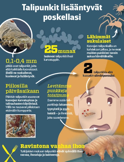 elokuva porno seksi tähti