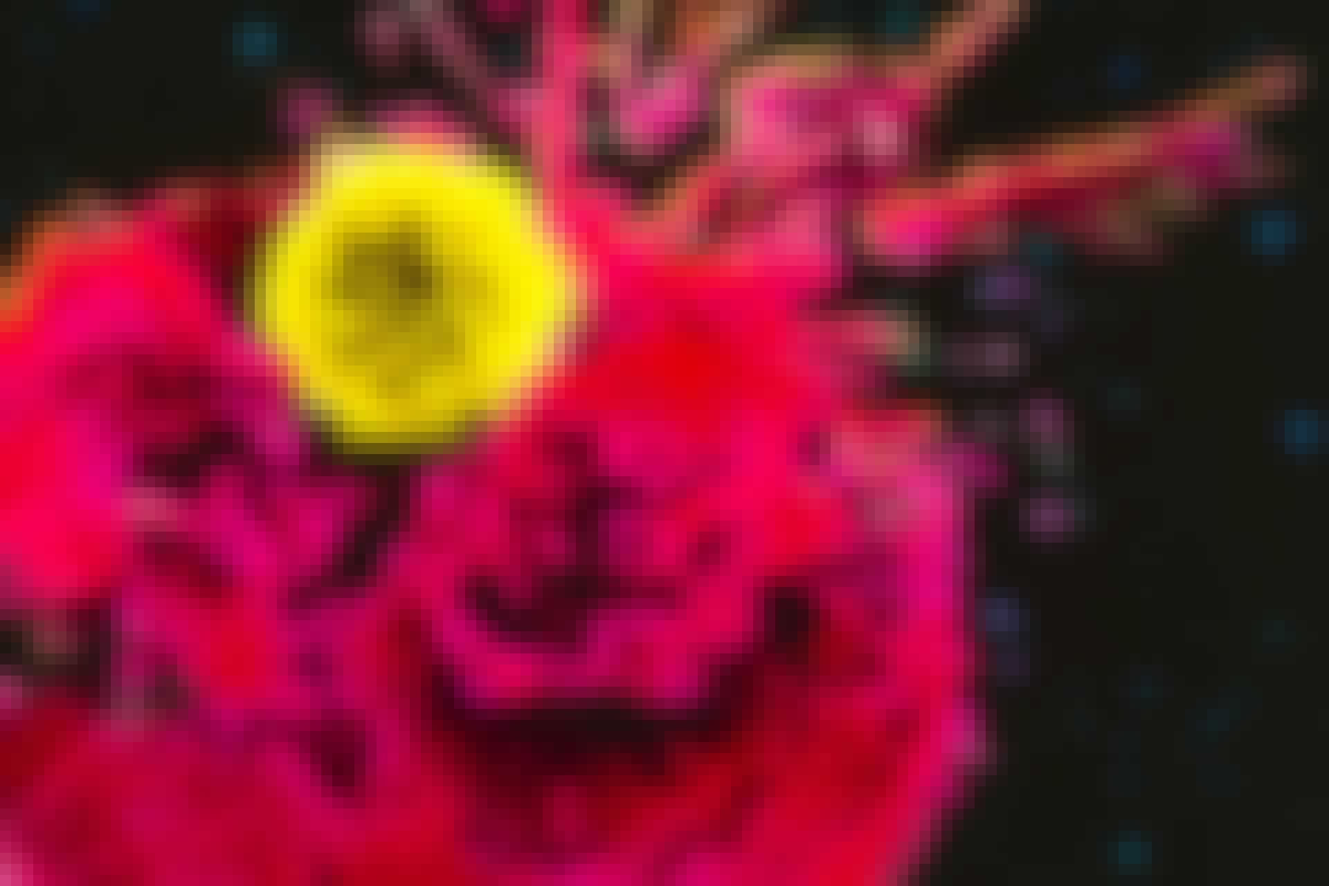 immunterapi t cell angriper