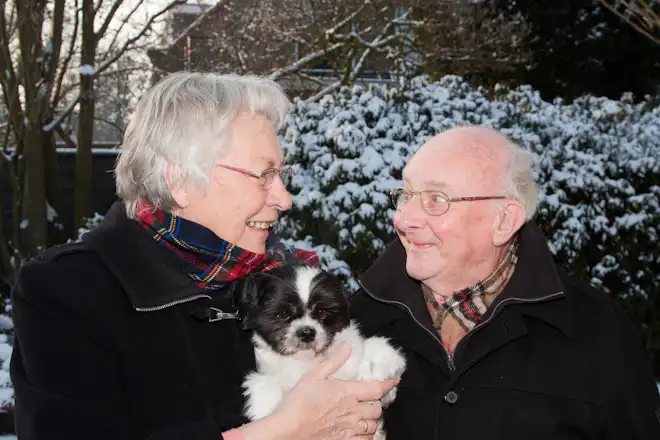 Hund med gamle mennesker