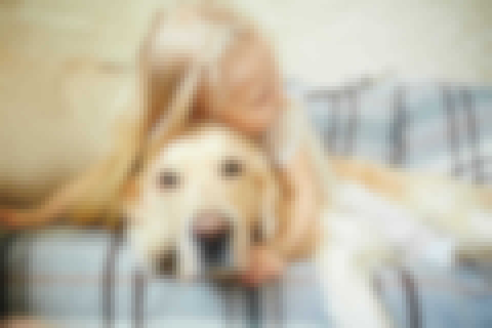 Hond met kind Hond met kind