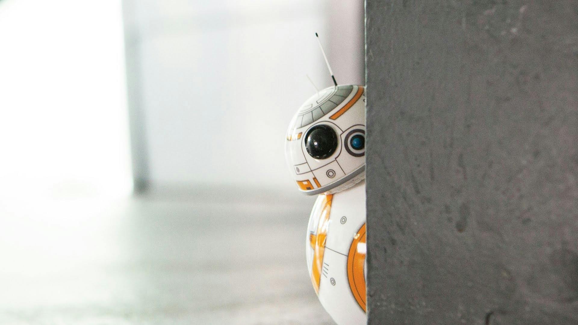 BB-8 Peek BB-8 Peek