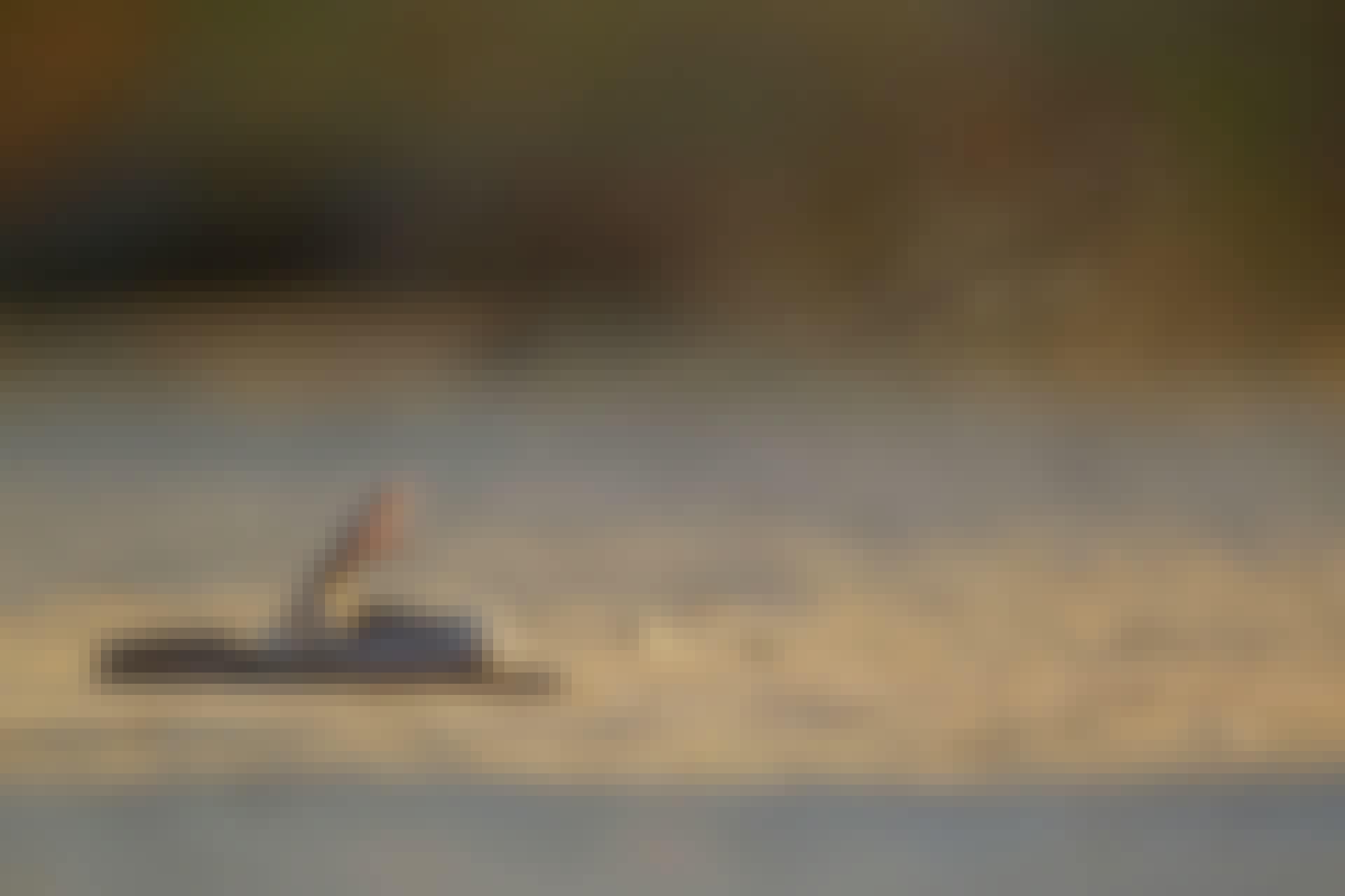 Kan en kobra spytte?