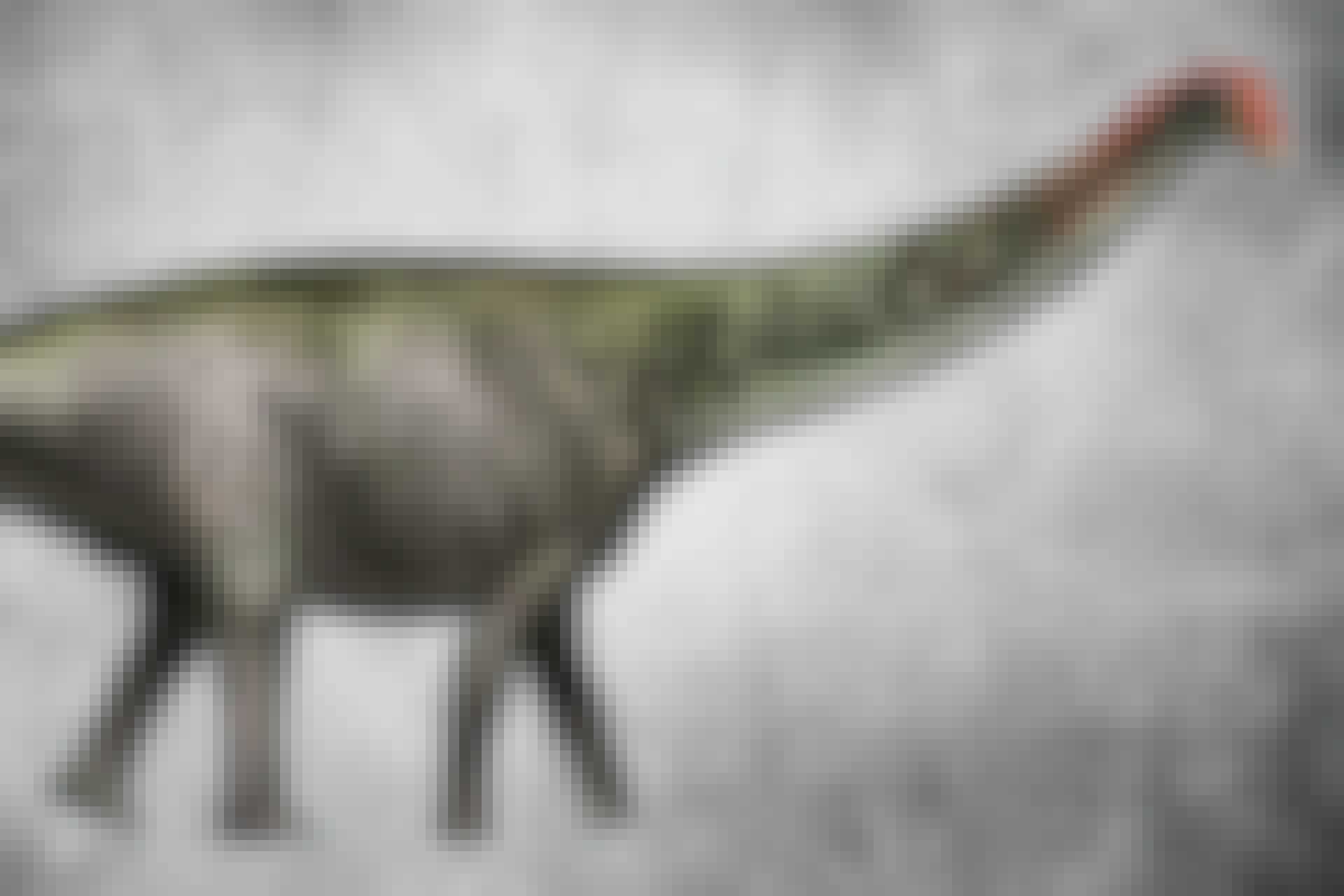 Comeback van de Brontosaurus