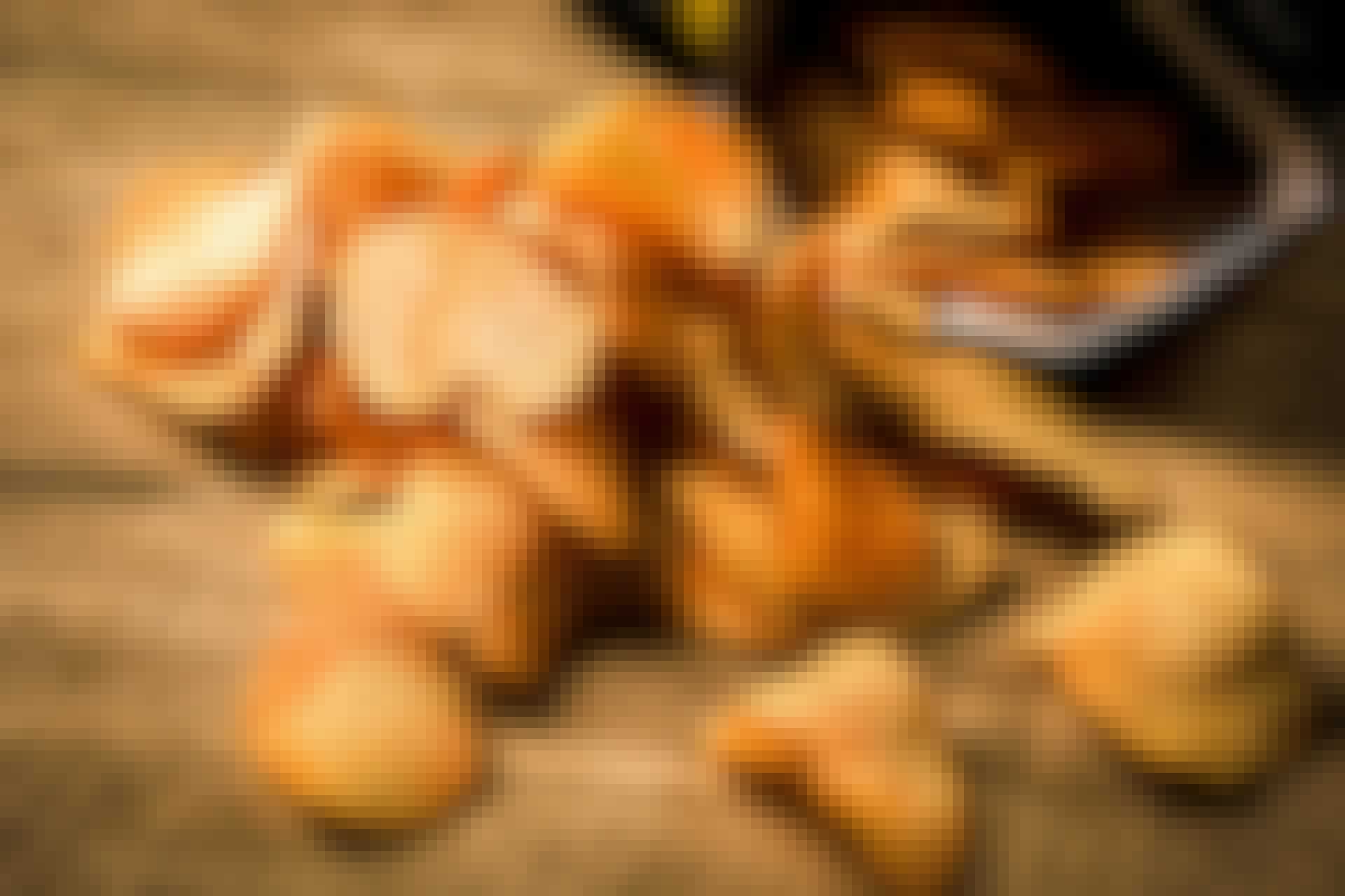 Chips in zak