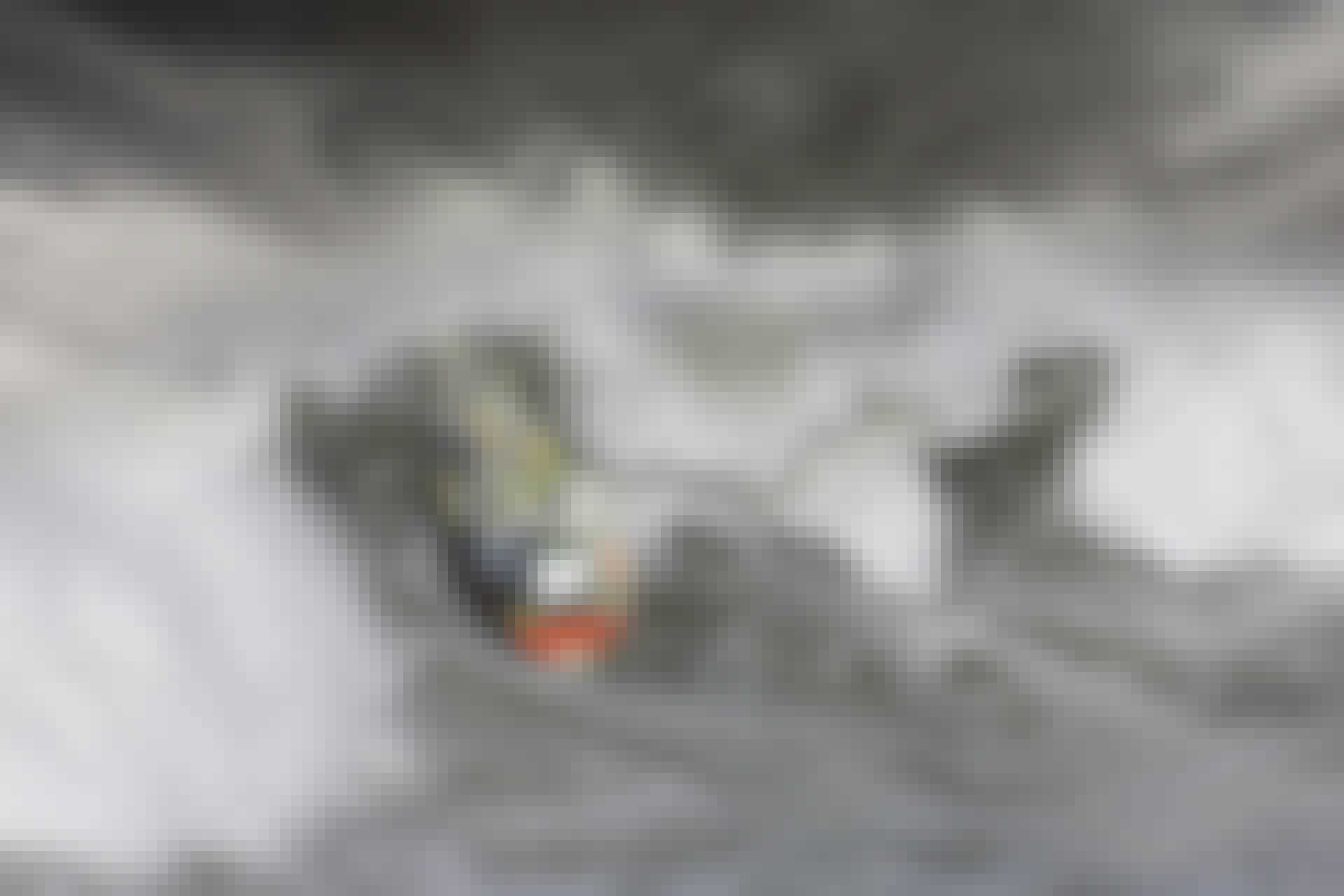 Monsterbølger sluger fragtskib