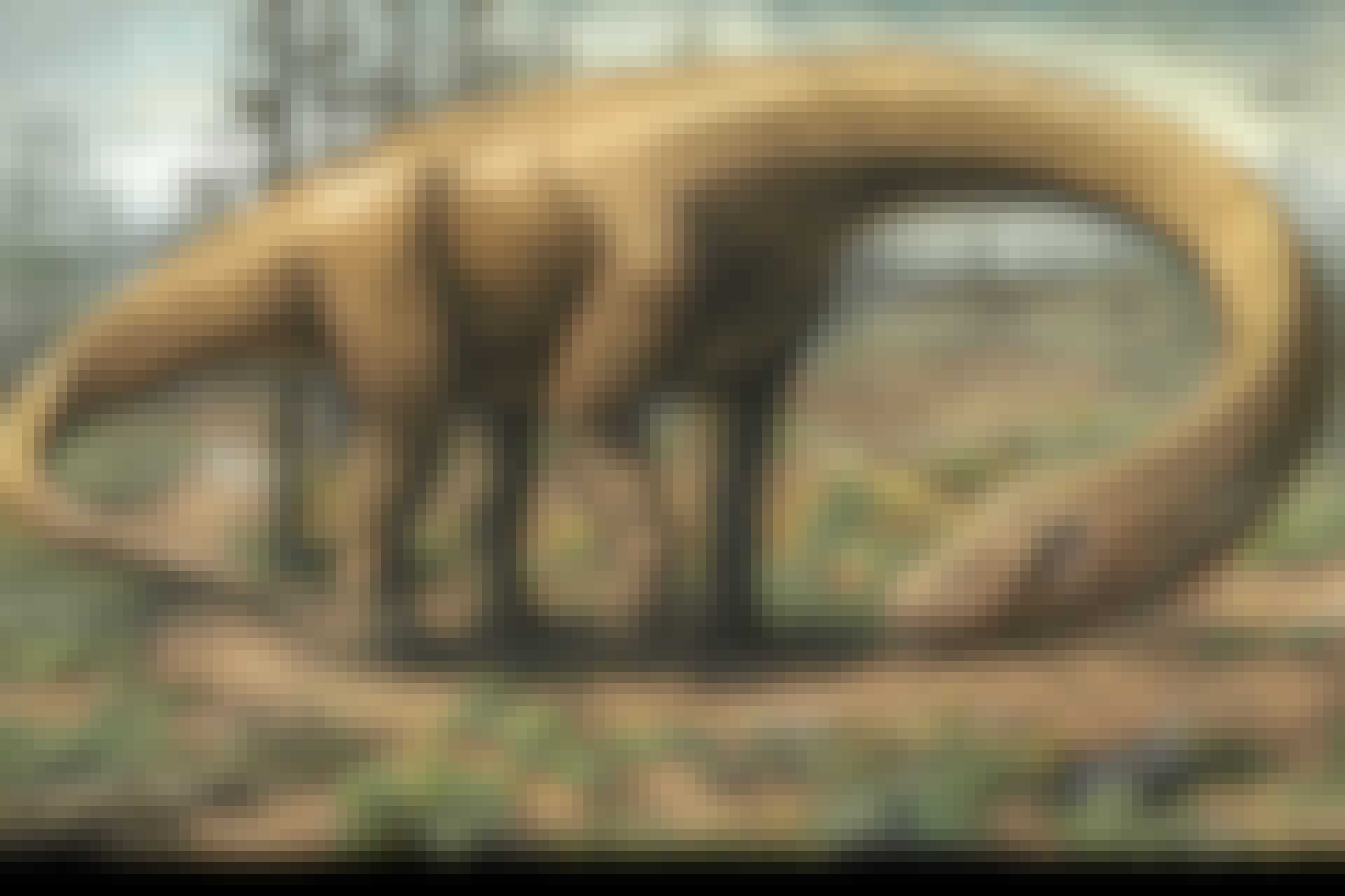 Dreadnoughtus dinosaurus 1/2015