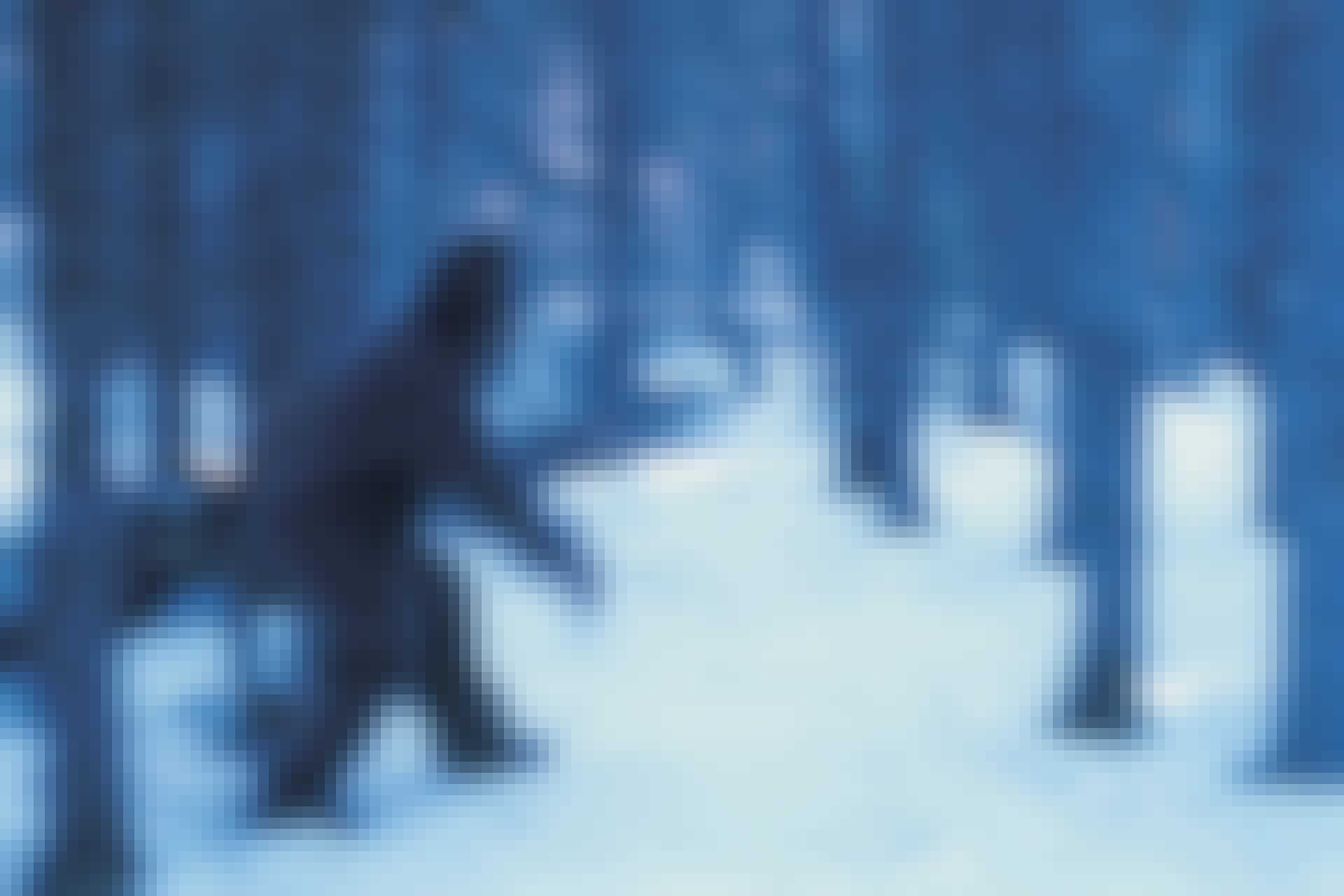Yeti in the snow