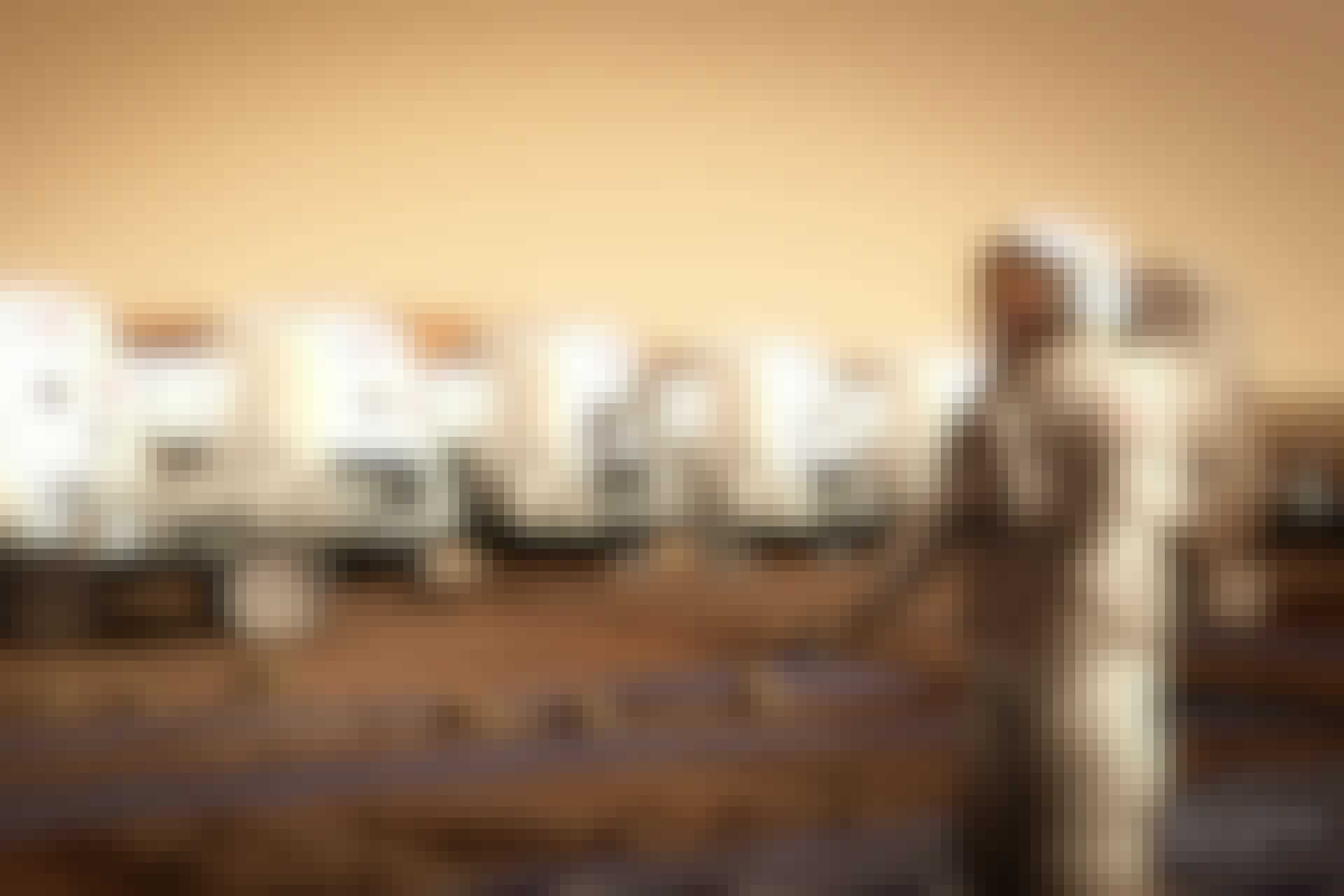Mars Onen Marsin siirtokunta Mars Onen Marsin siirtokunta
