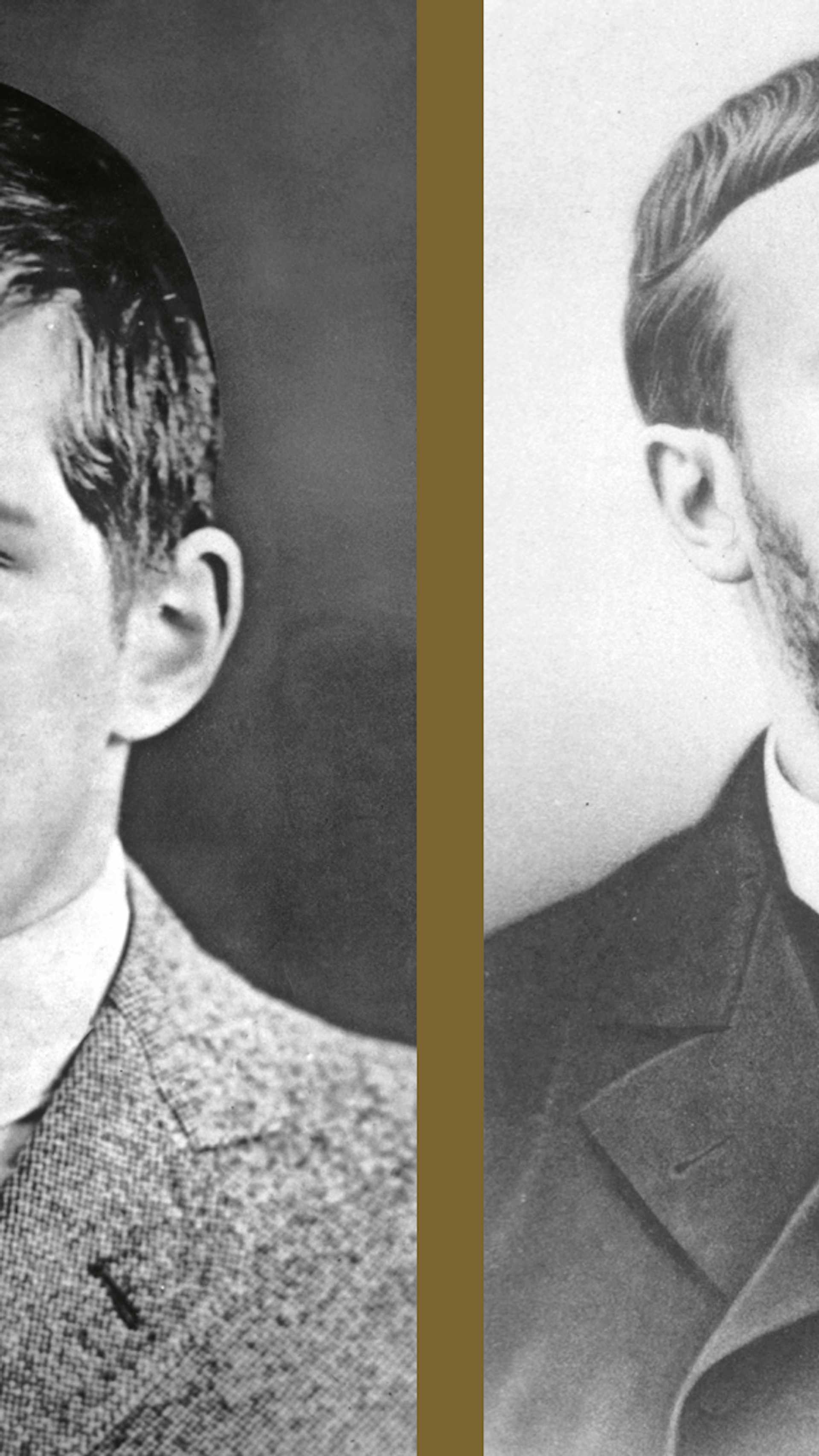 Iq Wat Is Het Hoogste Iq Dat Er Is Wibnet Nl