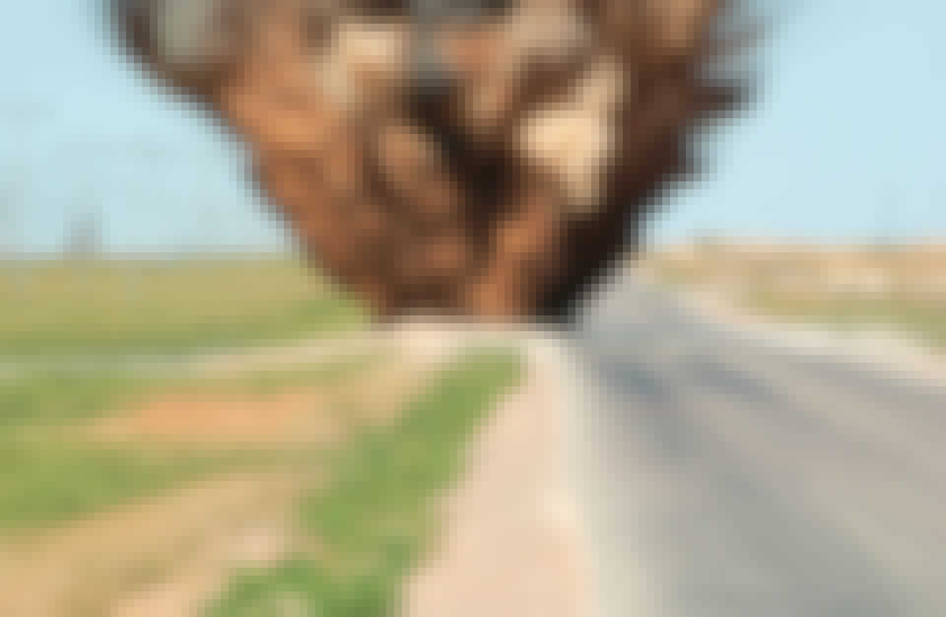 Plastic explosive 16/2014