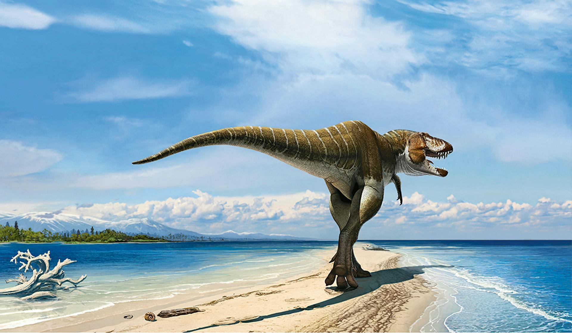 Lythronax Argestes Lythronax Argestes