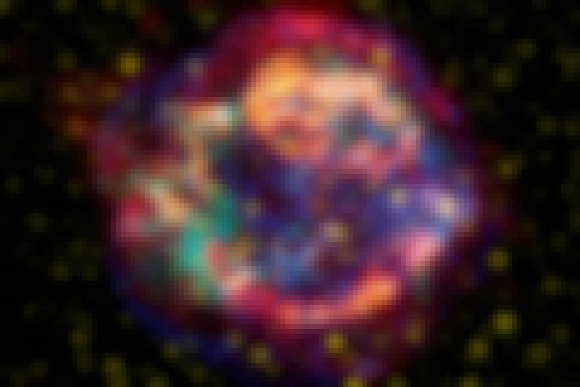 kepler supernova DK