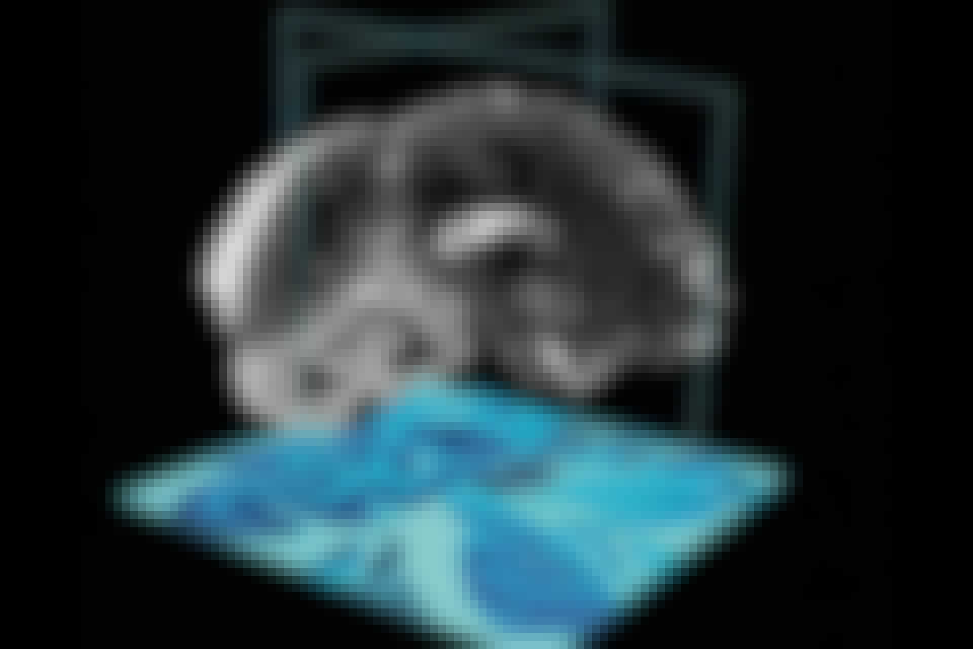 bigbrain coverpic