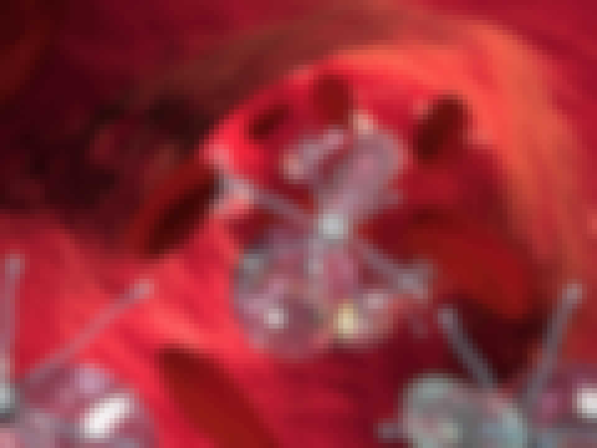 Nanorobot body