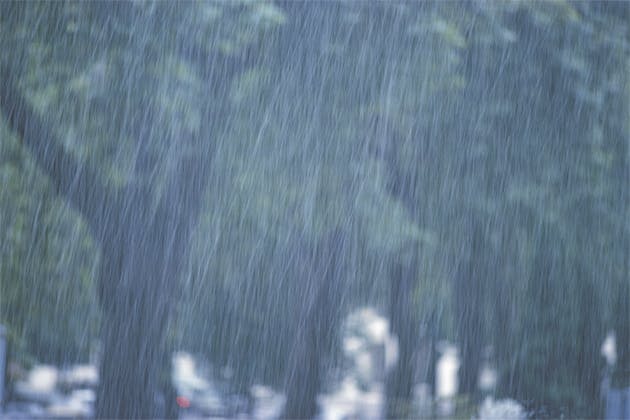 Rain Rain