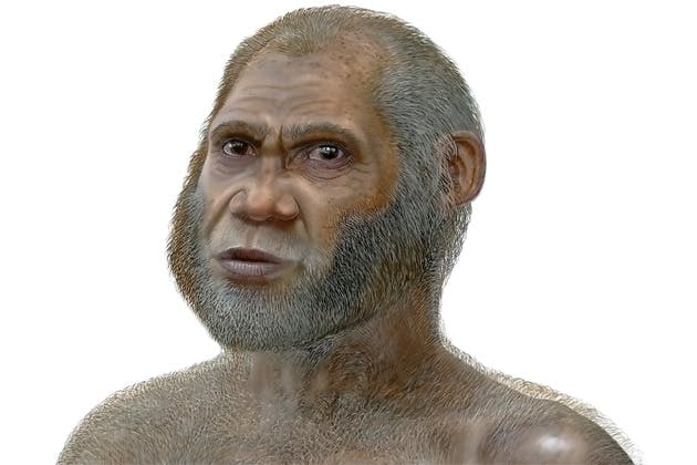 Prehistoric human Prehistoric human
