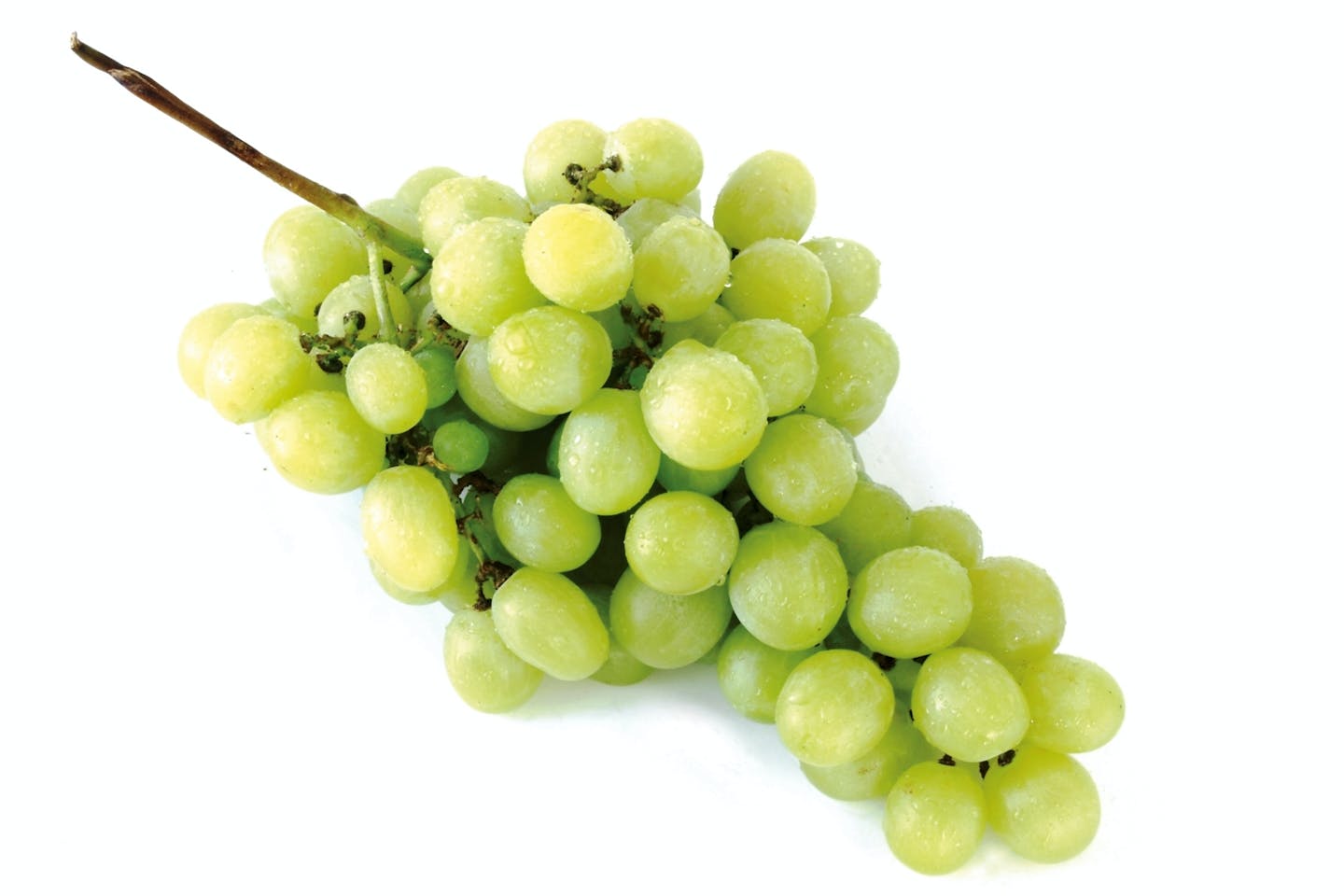 grapes grapes