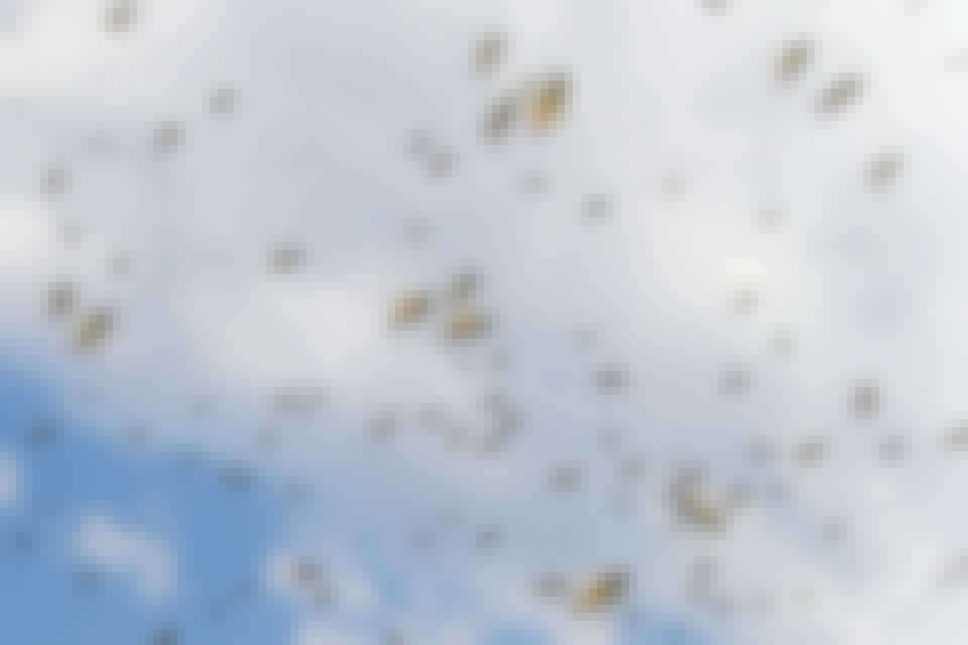 Bees in the sky