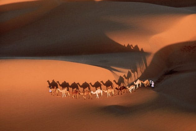 Erg in Sahara Erg in Sahara