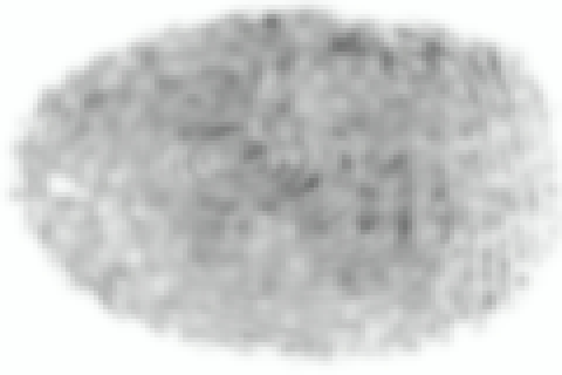 fingerprint