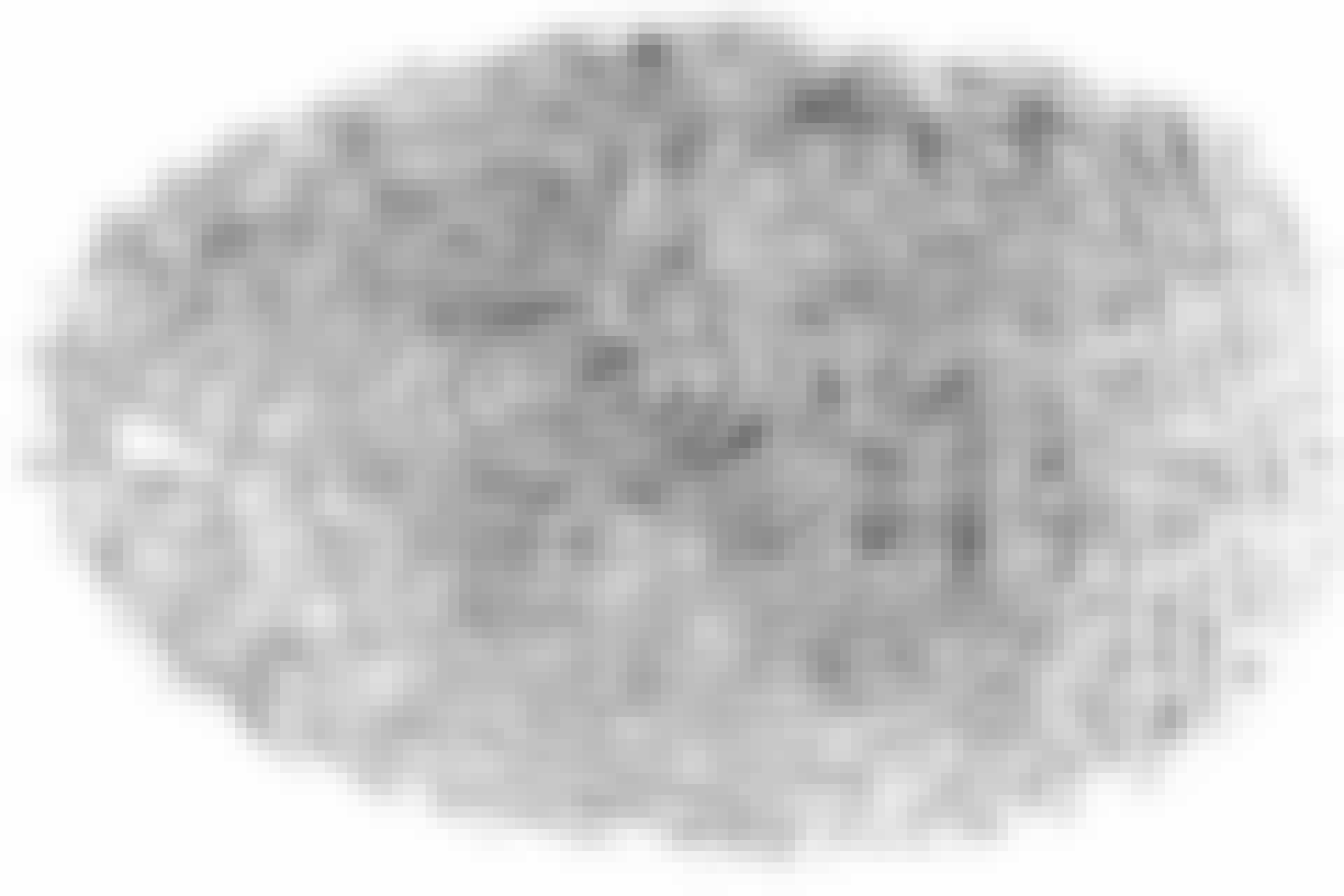 fingerprint