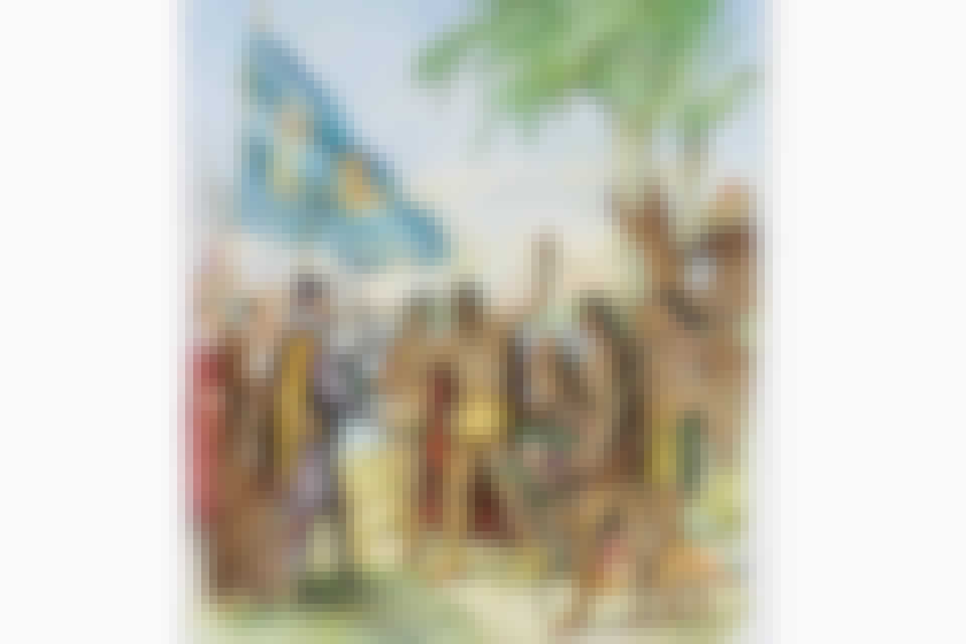 Columbus on the shore