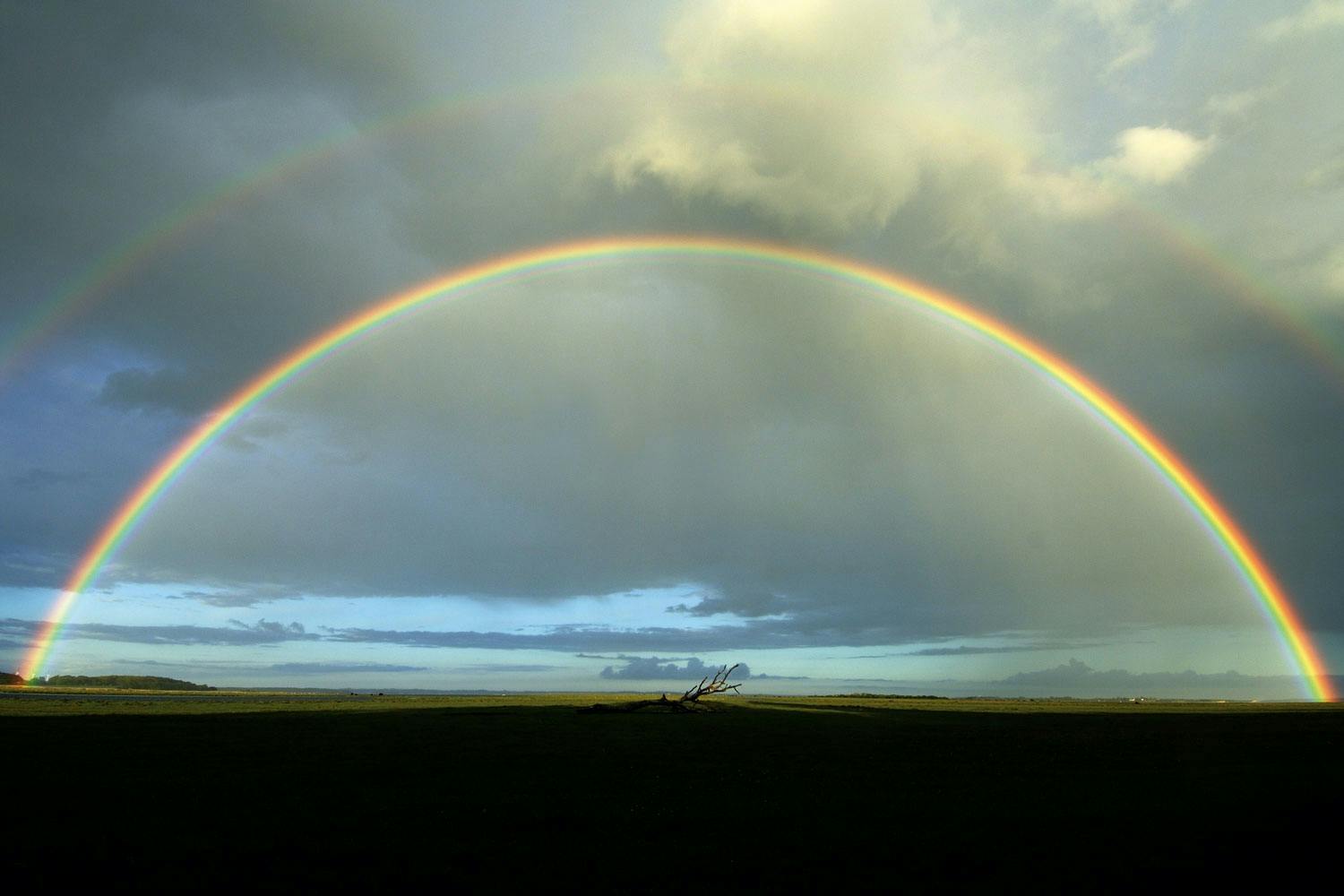Rainbow Rainbow