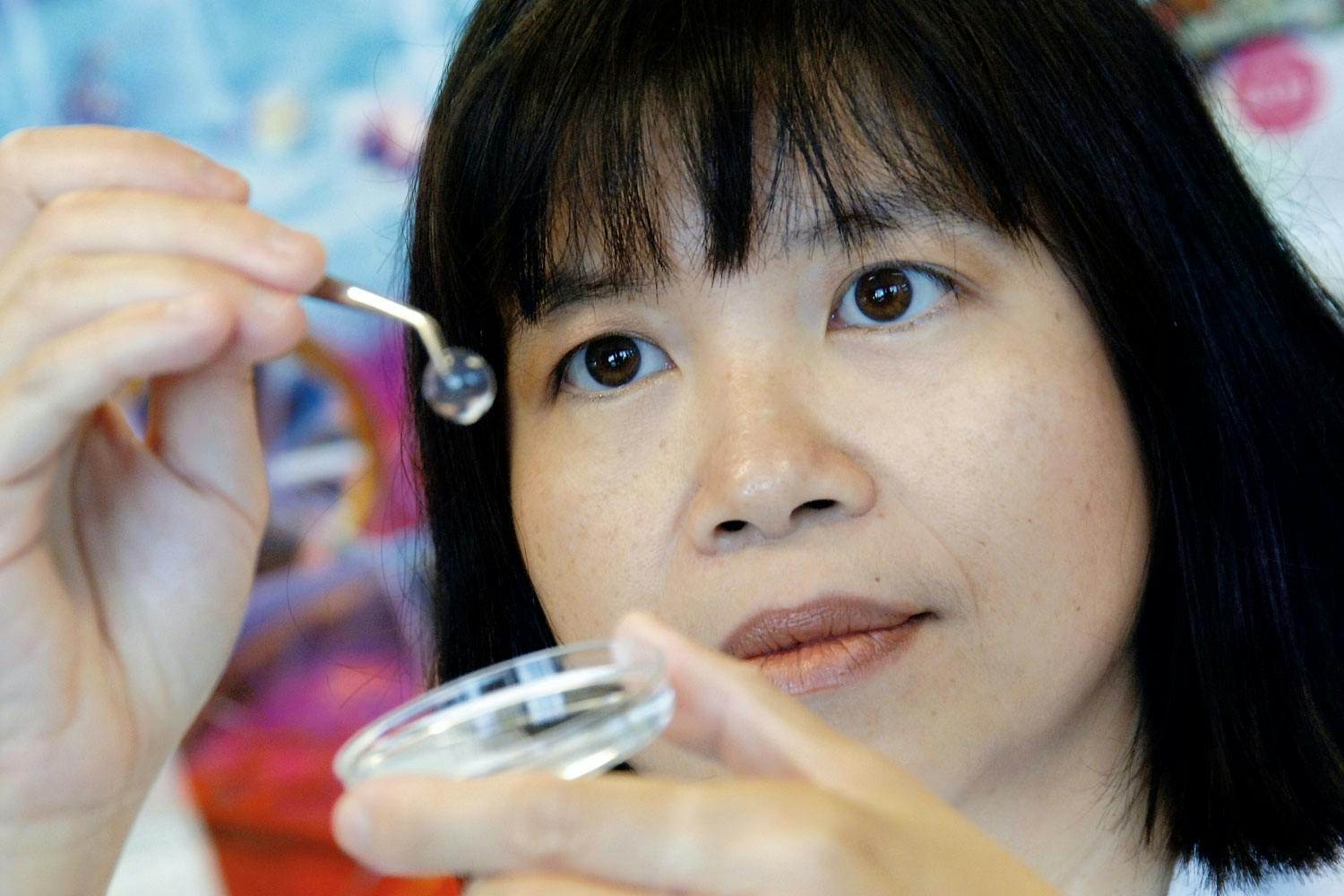Artificial cornea Artificial cornea