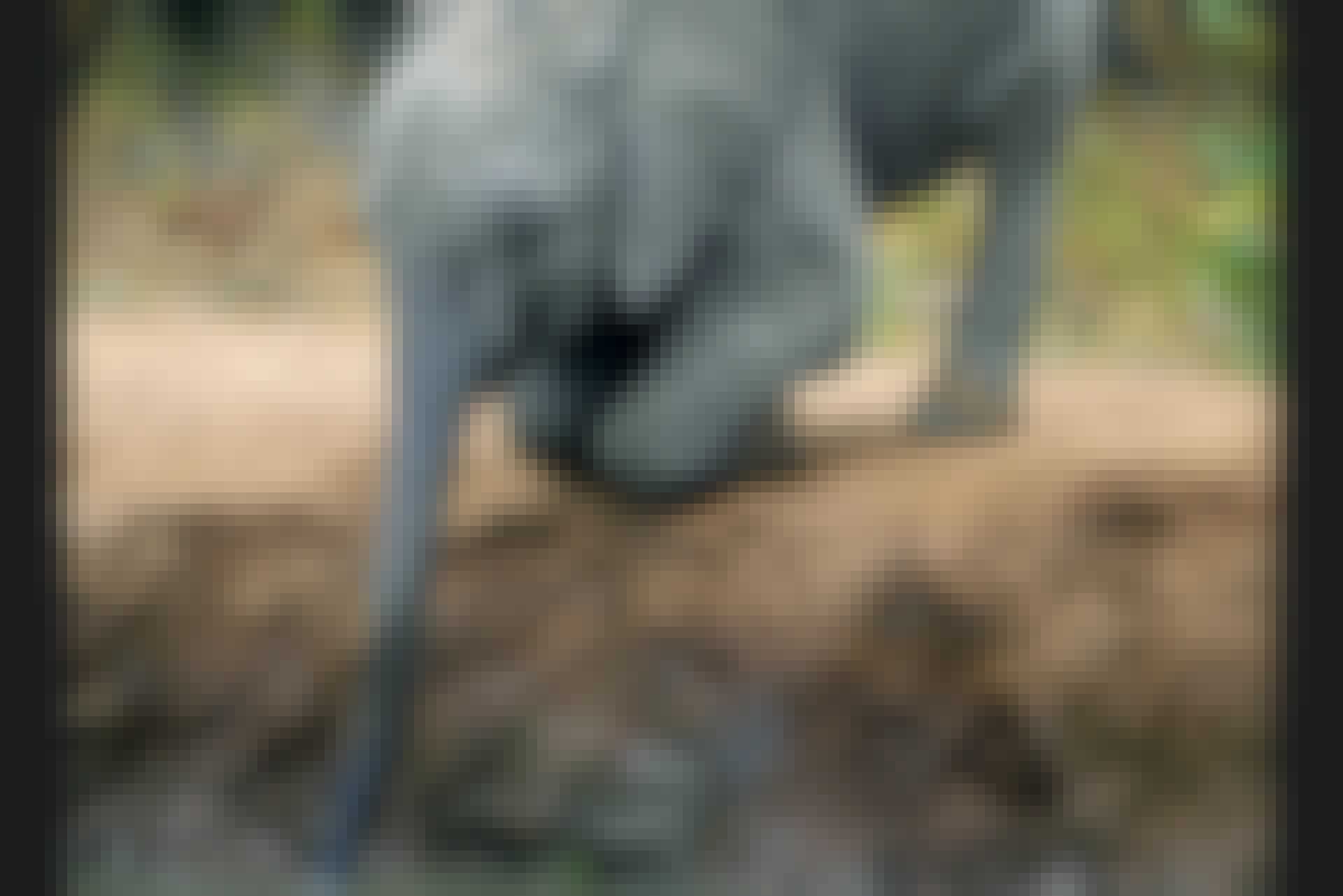 Elephant drinking