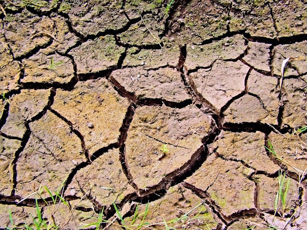 Dry land Dry land